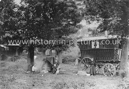 Gipsy Encampment, Hainault Forest. Essex. c.1905